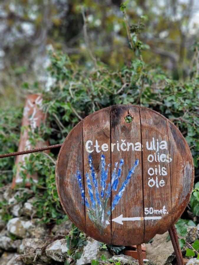 Lavanda Apartman 1 Cres Eksteriør bilde